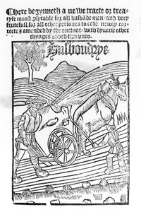 Homme labourant un champ